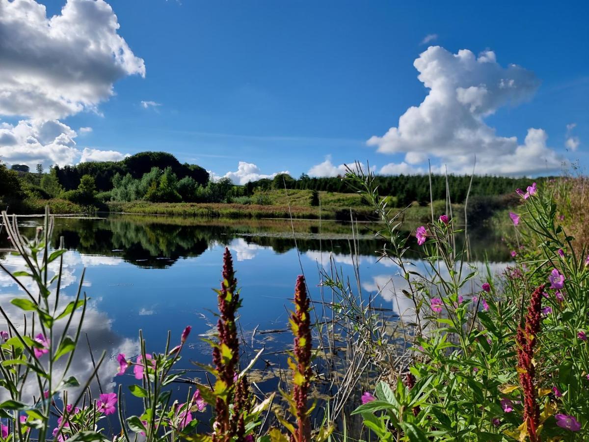 Calm And Idyllic Surroundings In Northen Jutland Leilighet Nibe Eksteriør bilde